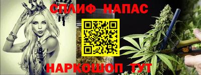 сатива Обь
