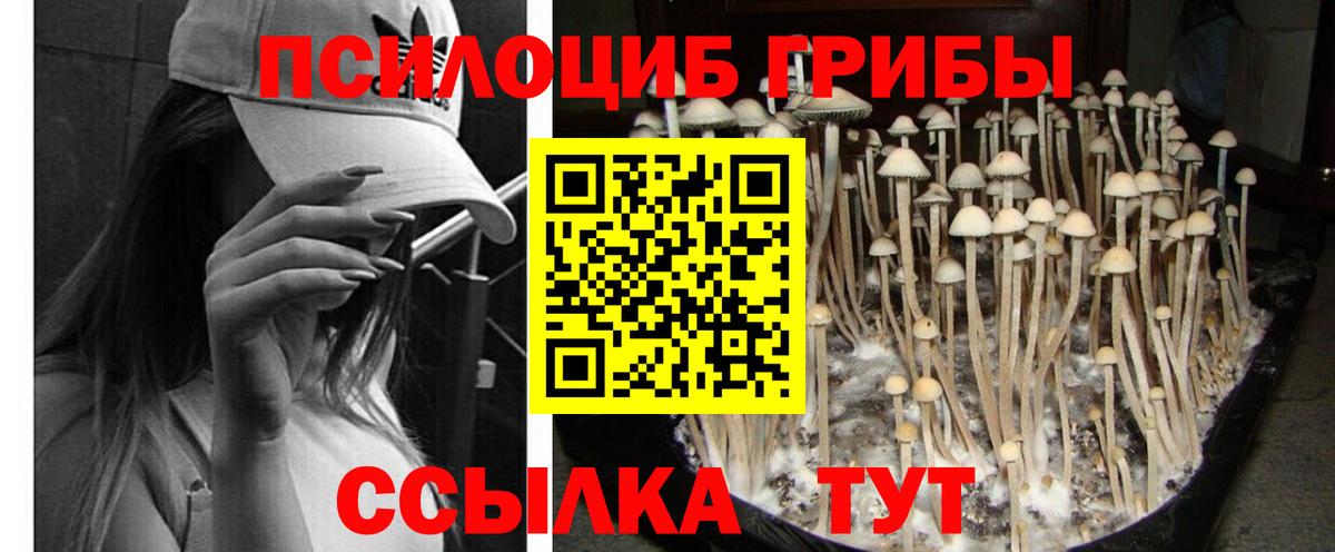 Псилоцибиновые грибы мухоморы  магазин    Самара  Вход с VPN 